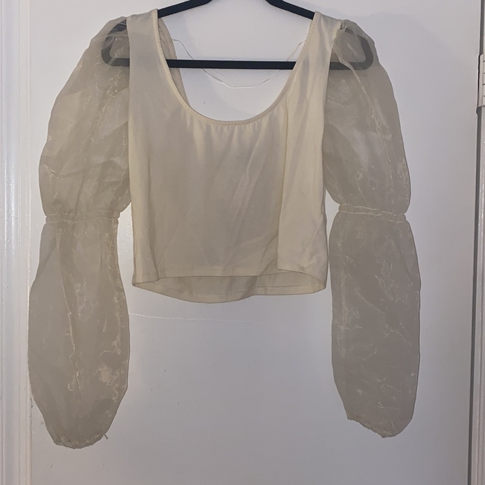 Target Mesh sleeve crop top